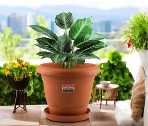 Pavan Flora Planter 8Inch 2Pcs Without Plate ( Plastic Planter Pot For Gardening )