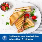 PHILIPS SANDWICH HD3010-2