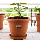 pavan planter-10-inch-1