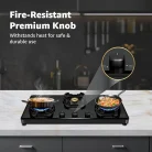 Havells_neclus_3b_gas_stove_4