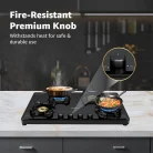 Havells_nucleus_4b_gas_stove_6