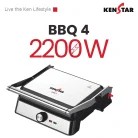 KEN BBQ4-1